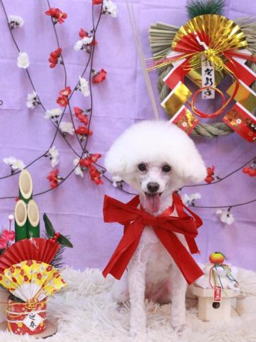 20230124にこちゃん